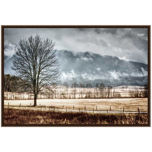 December Morning Framed Art