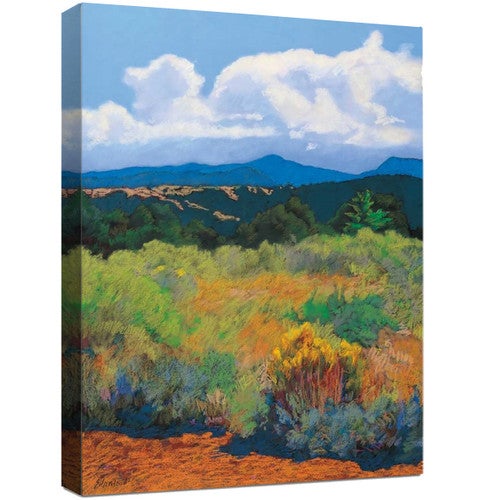 Desert Brush Canvas Art