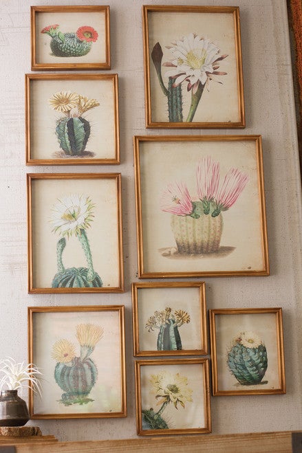 Desert Flowers Framed Prints - Set of 9