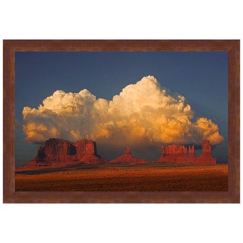 Desert Rainshower Framed Art