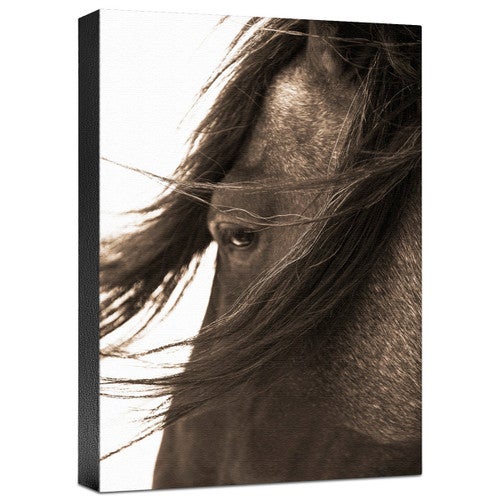 Don't Bother Me Gallery Wrapped Canvas