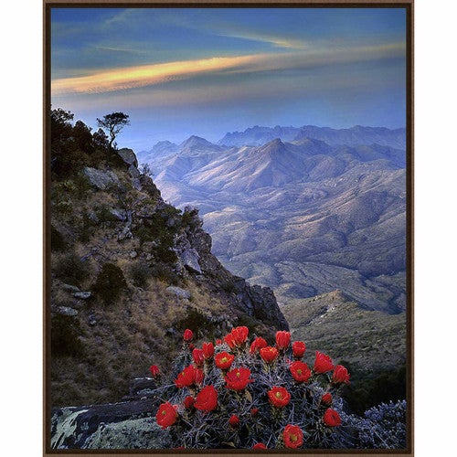 Down the Valley Framed Canvas