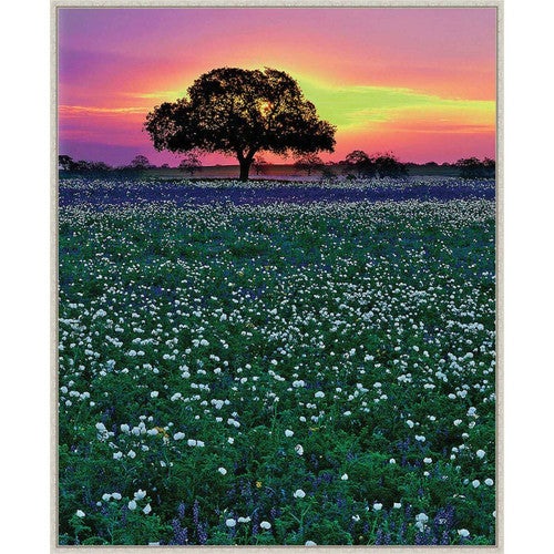 Dusk on the Prairie Framed Canvas