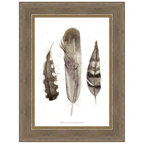Earthtone Feathers II Framed Print