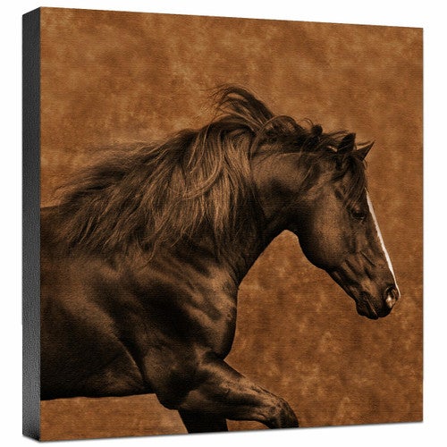 Eastward Gallop Gallery Wrapped Canvas