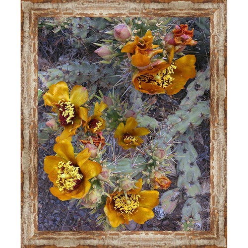El Paso Cactus Framed Canvas