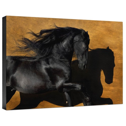 Fabiano I Color Gallery Wrapped Canvas