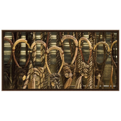 Fancy Bridles Framed Canvas