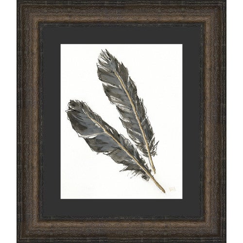 Feathers I Framed Print