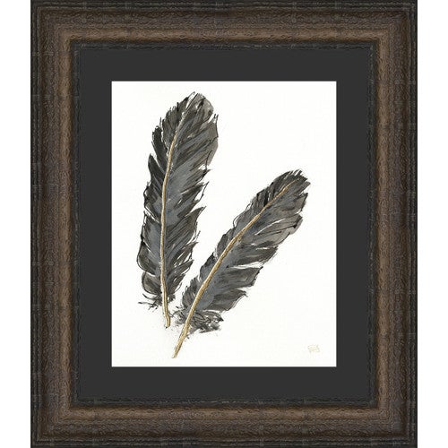 Feathers II Framed Print