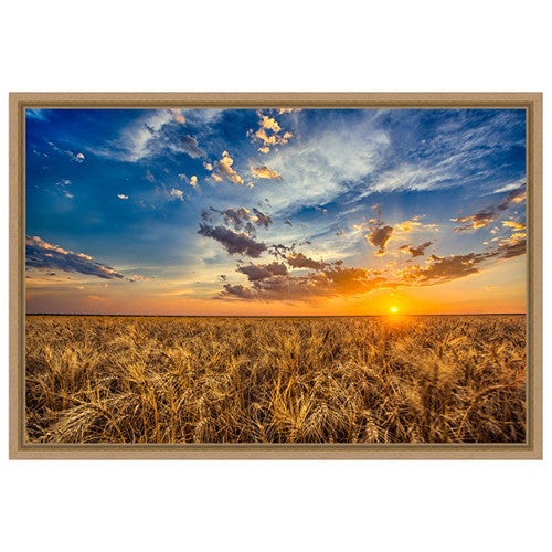 Golden Hour Wall Art
