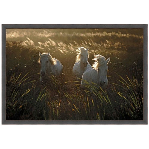 Golden Manes Canvas Art