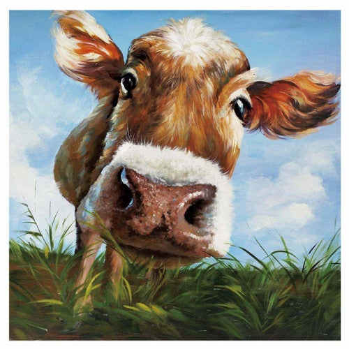 Hello Canvas Print