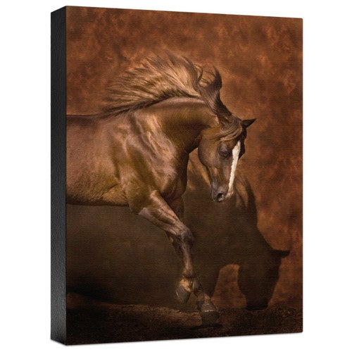 Horse Dancer Gallery Wrapped Canvas