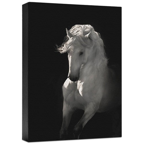 Into the Light Gallery Wrapped Canvas