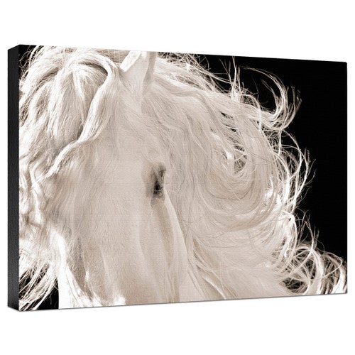 Leonardo Gallery Wrapped Canvas