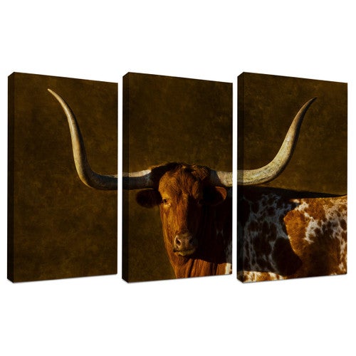Longhorn Legacy Triptych Wall Art - Set of 3