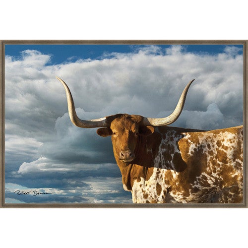 Majestic Longhorn Framed Canvas