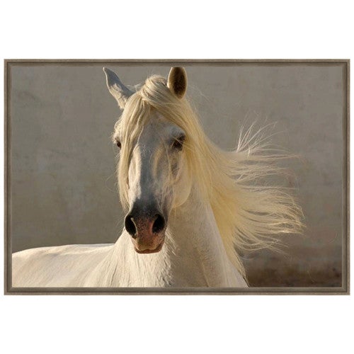 Mane Canvas Art