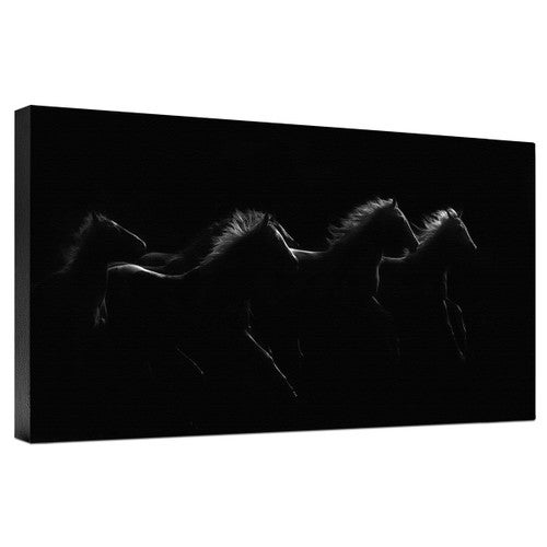 Midnight Dancers Gallery Wrapped Canvas