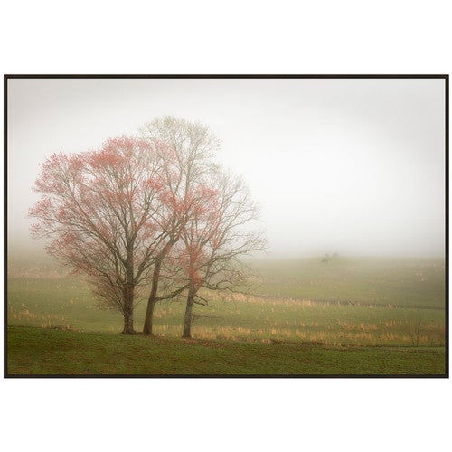 Misty Field Framed Art