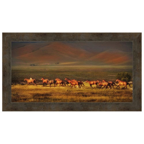 Montana Dreaming Framed Canvas