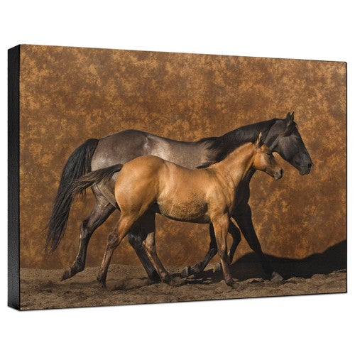 Mother and Son Gallery Wrapped Canvas