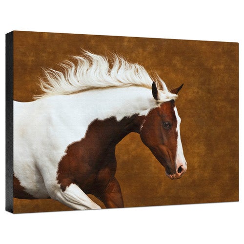 My Little Bella Gallery Wrapped Canvas