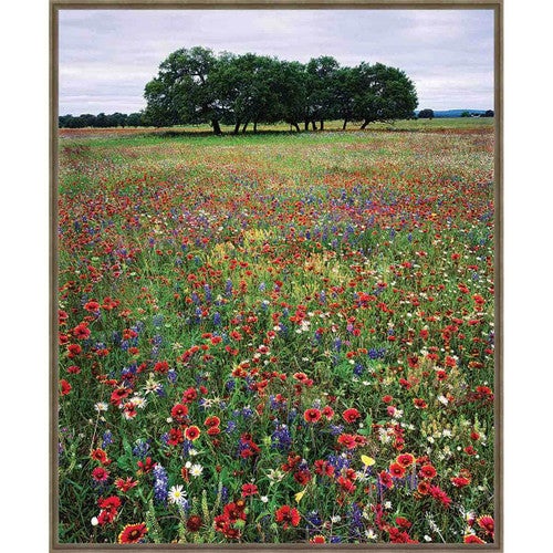Noon on the Prairie Framed Canvas