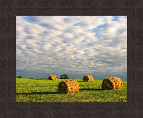 Oklahoma Plains Framed Wall Art