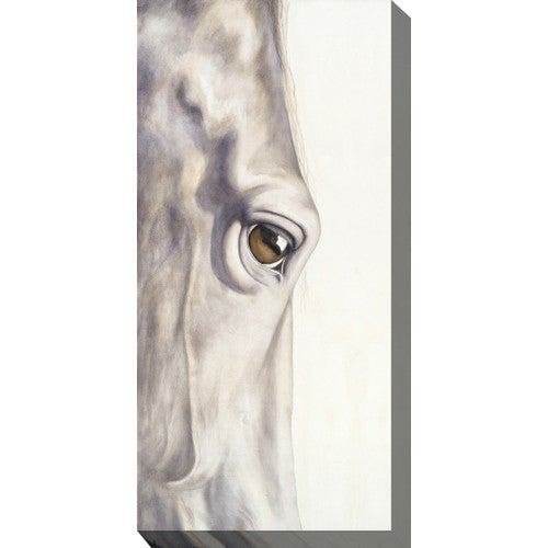 Pale Eye Indoor/Outdoor Canvas Art