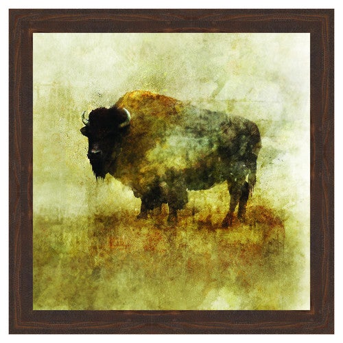 Peaceful Bison II Framed Canvas