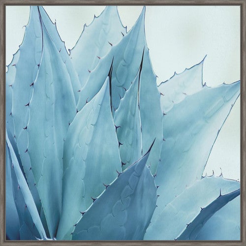 Prickly Desert II Canvas Art