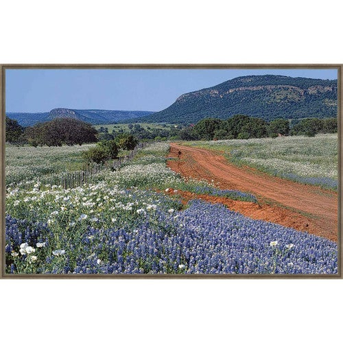 Red, White and Blue Hill Framed Canvas