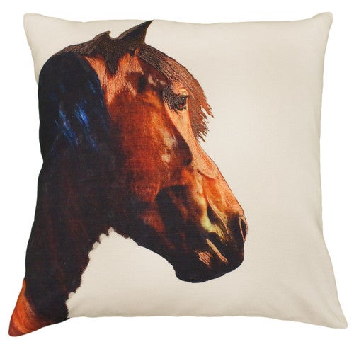 Shasta Printed Pillow