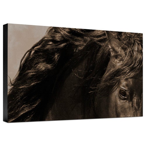 Sheraz Sepia Gallery Wrapped Canvas