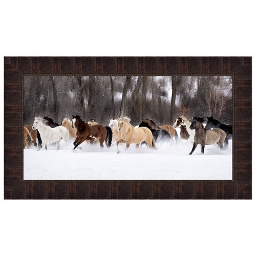 Snow Run II Framed Print