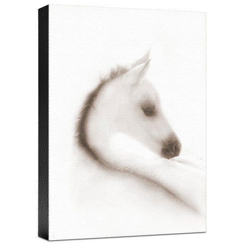 Snow White Gallery Wrapped Canvas