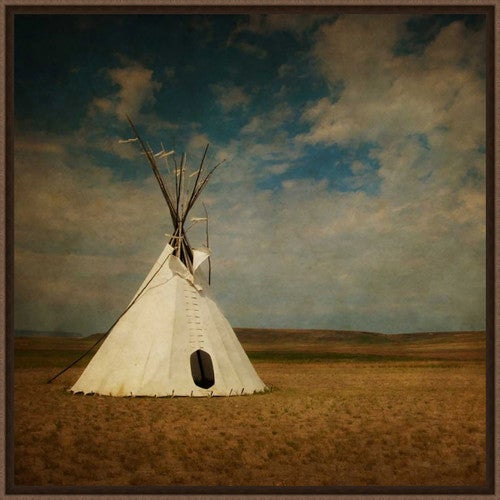 Solitude on the Plains Canvas Art