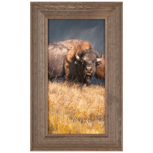 Stormy Framed Canvas