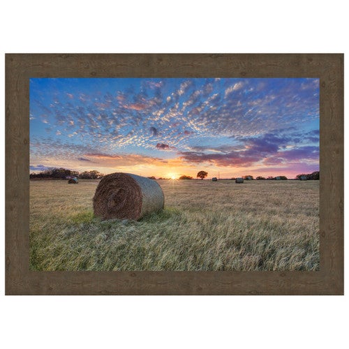 Tallgrass Serenity Wall Art