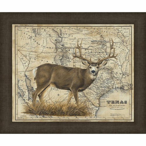 Texan Deer Framed Canvas