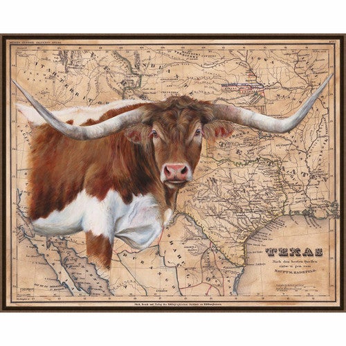 Texas Longhorn Framed Canvas