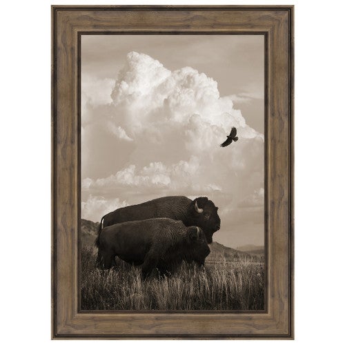 The American Buffalo Framed Canvas
