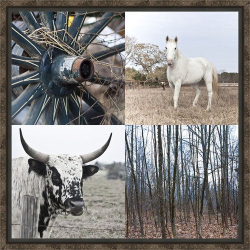 The Country IV Mirror Wrapped Framed Canvas
