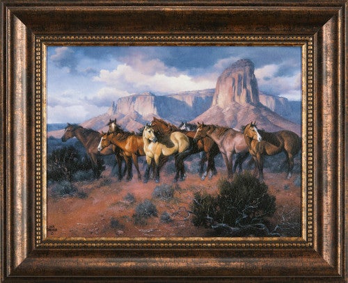 The Lookouts Framed Print