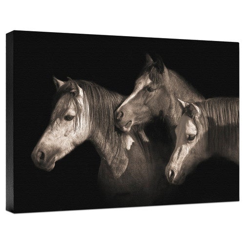 Three Ponies Gallery Wrapped Canvas