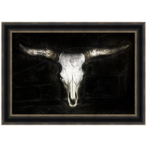 Tucson Skull Canvas Art