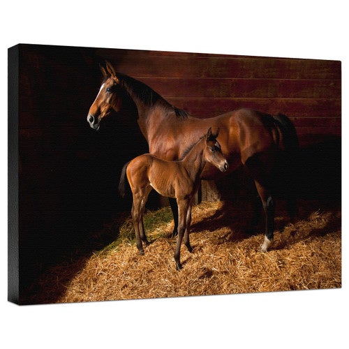 Waiting for the New Boss Gallery Wrapped Canvas