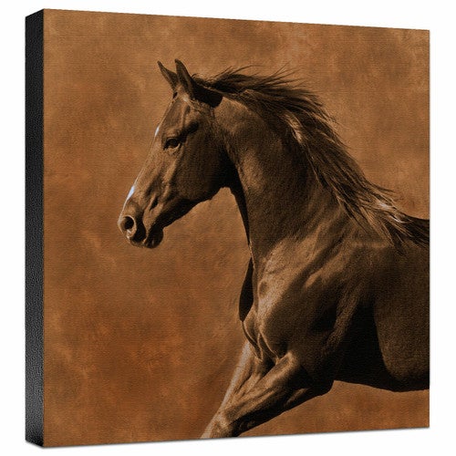 Westward Gallop Gallery Wrapped Canvas